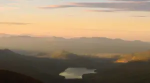 GLD DST, Ricardo Tejeda of Show and Tale Creative