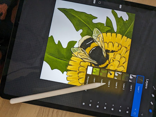 Intro to procreate